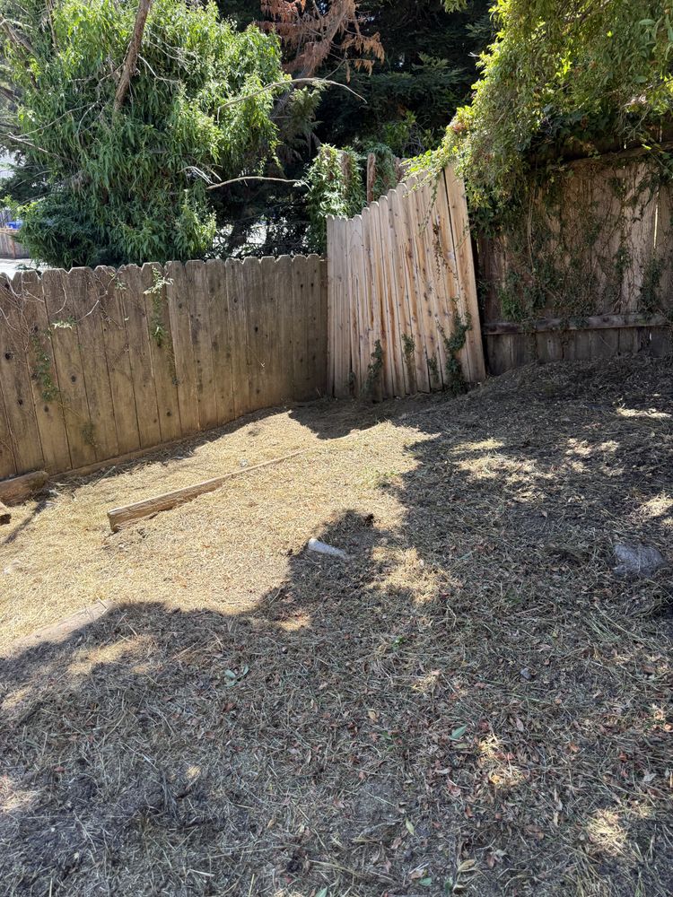 All Photos for CBA Landscaping in Hayward, CA