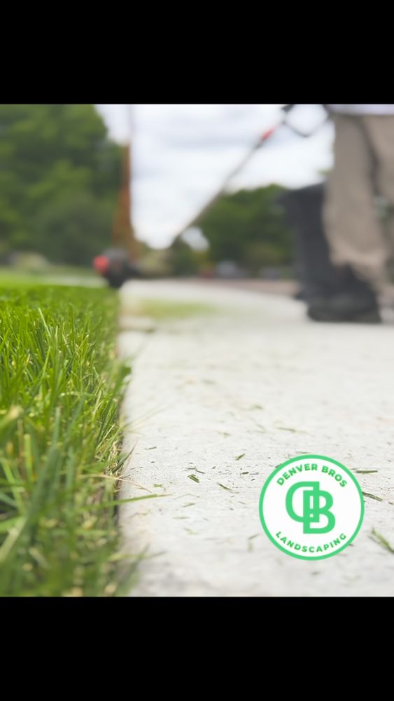 All Photos for Denver Bros Lawn Control in Denver, CO