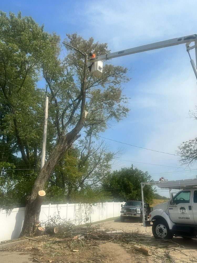 All Photos for Cross Family Tree Service in Kearney, MO