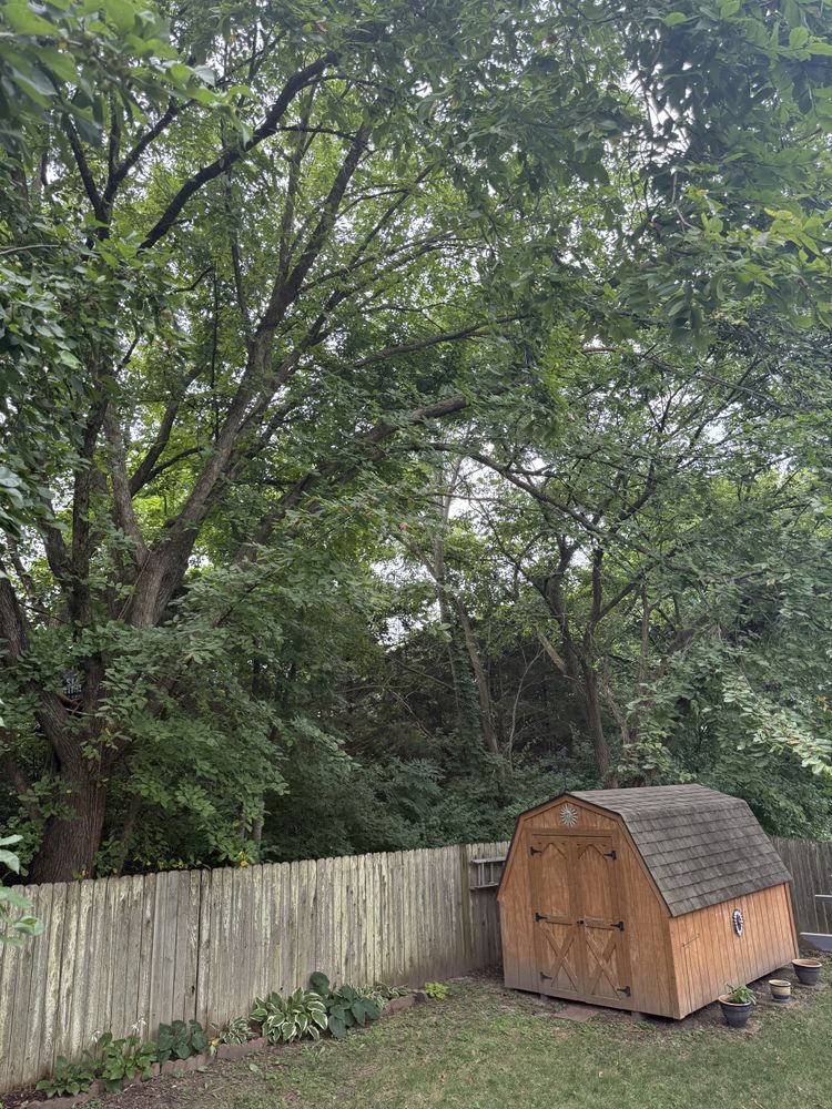 All Photos for Sky High Tree Service in Columbia, MO