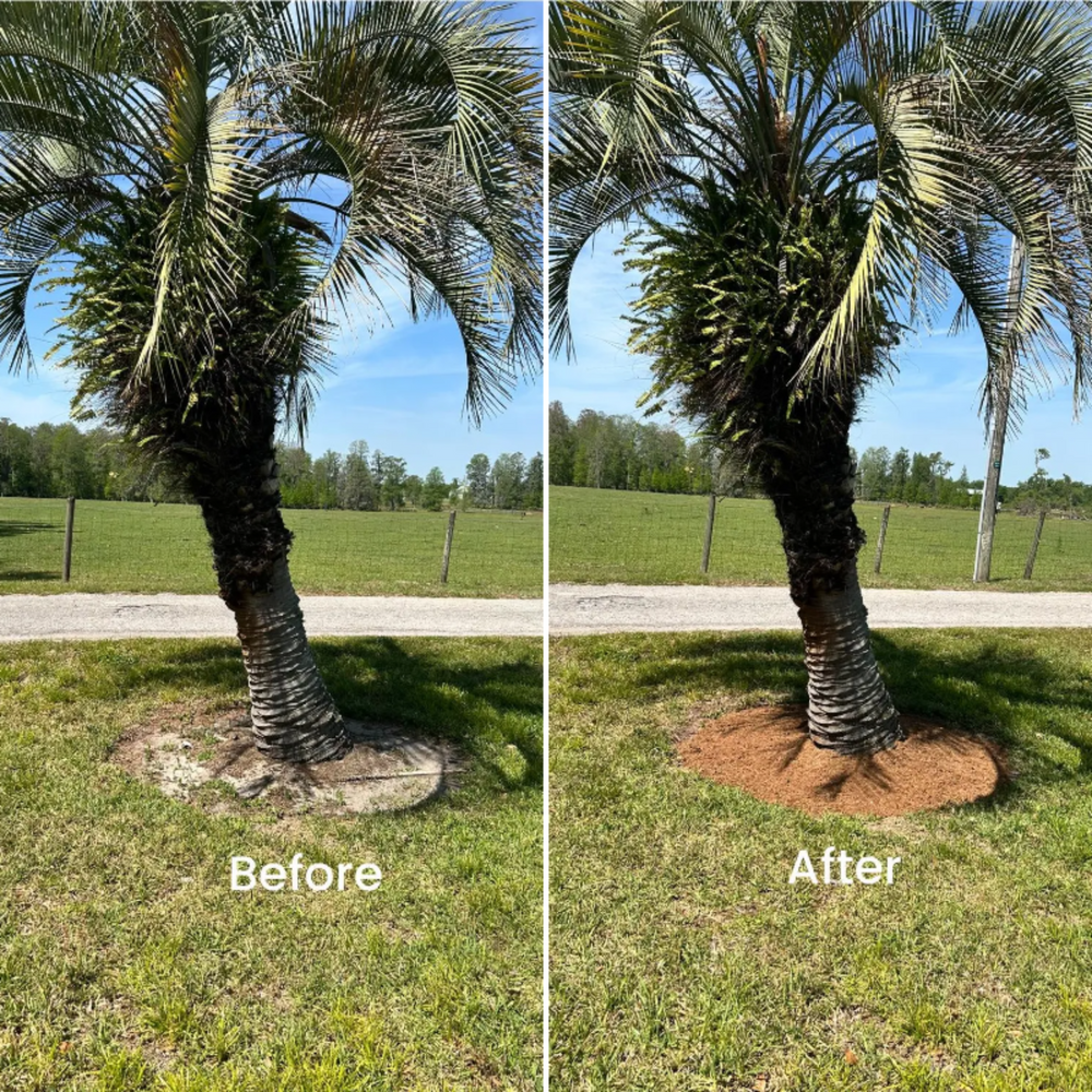 Stump Grinding for Greene Acres Stump Grinding in Plant City, FL