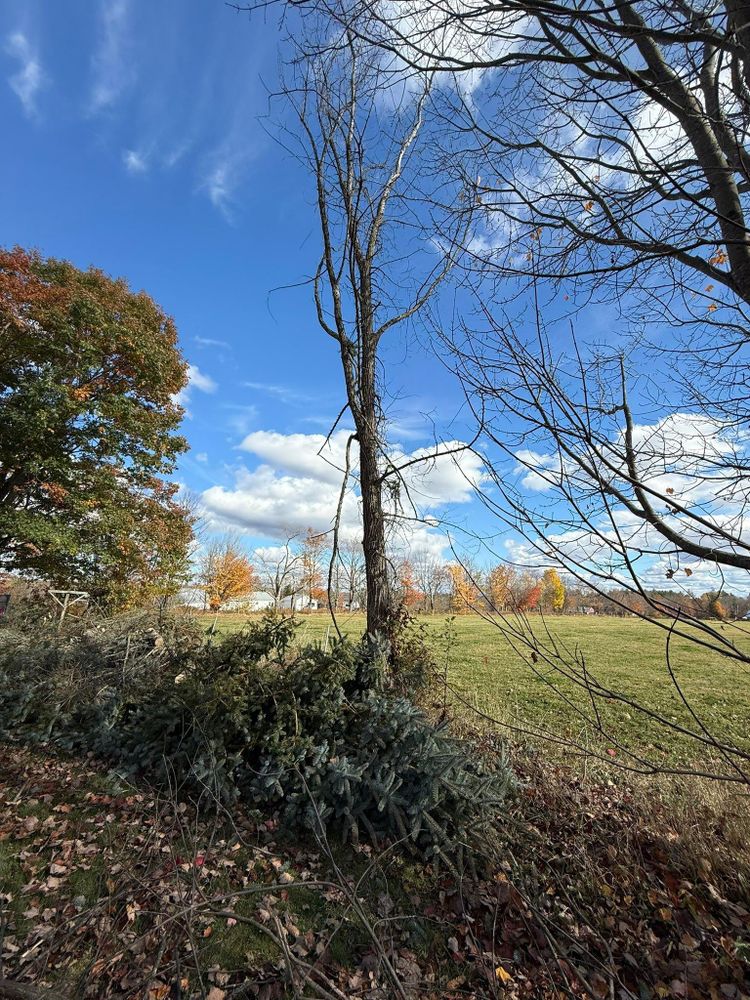 All Photos for CWB Lawn Care & Landscaping in Franklin County, ME