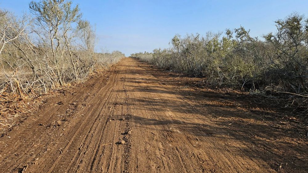 Land Clearing for Hernandez Land Clearing Services in Alice, TX