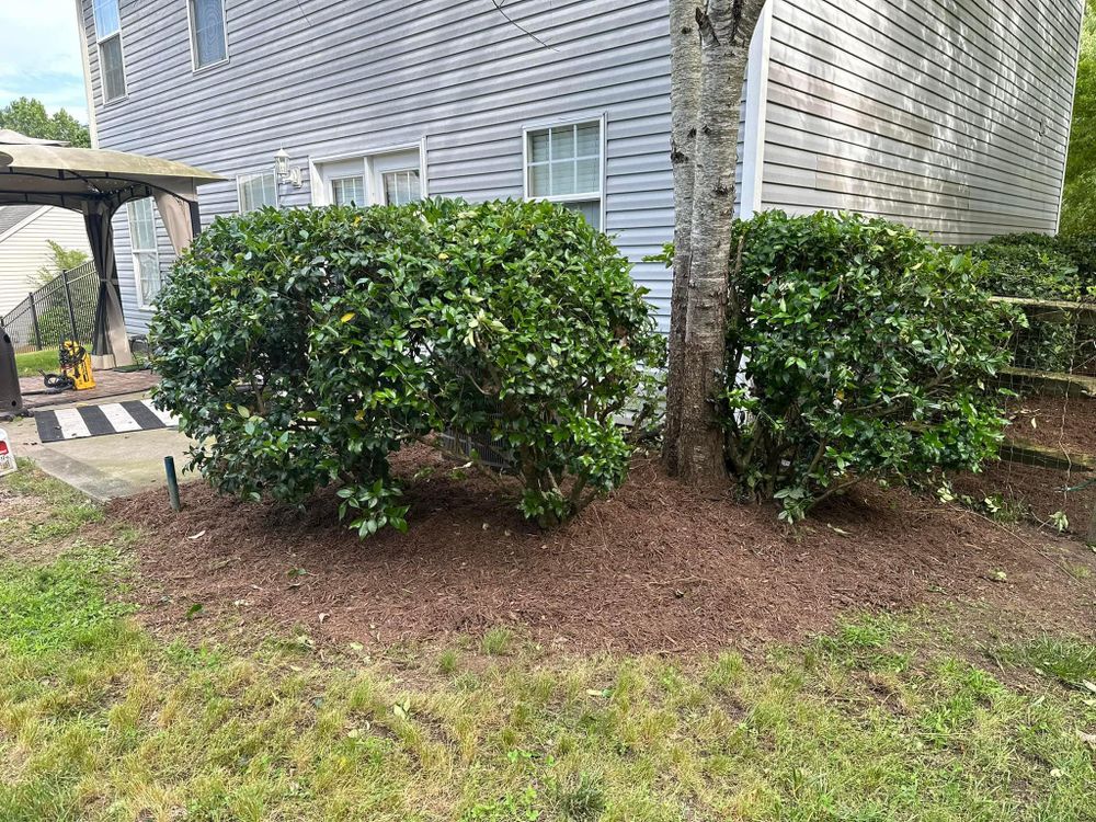 All Photos for Cisco Kid Landscaping Inc. in Lincolnton, NC