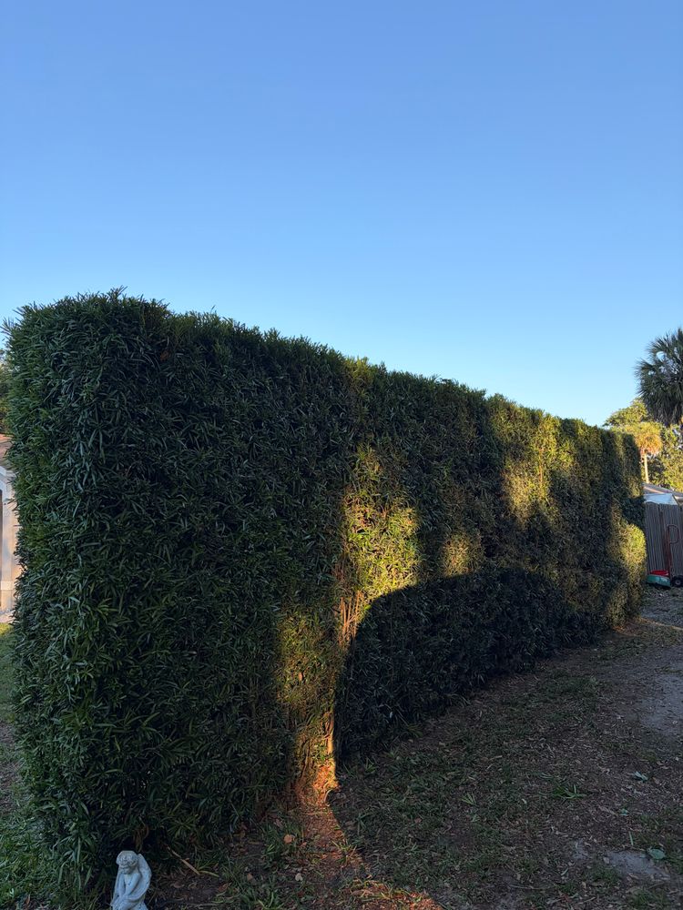All Photos for Vanic's Landscaping in Port Orange, FL
