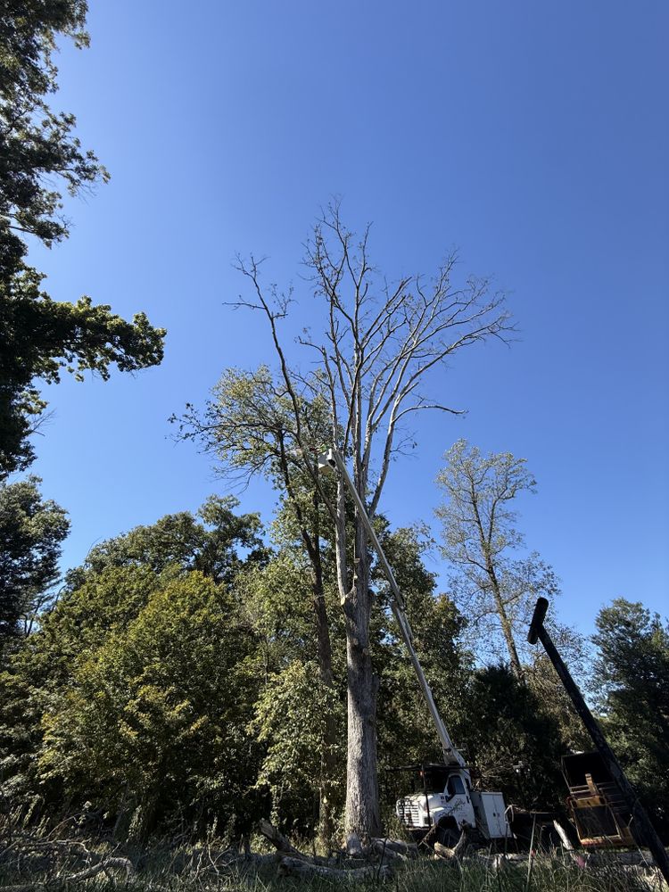 All Photos for Lightning Tree Service in Corydon, IN