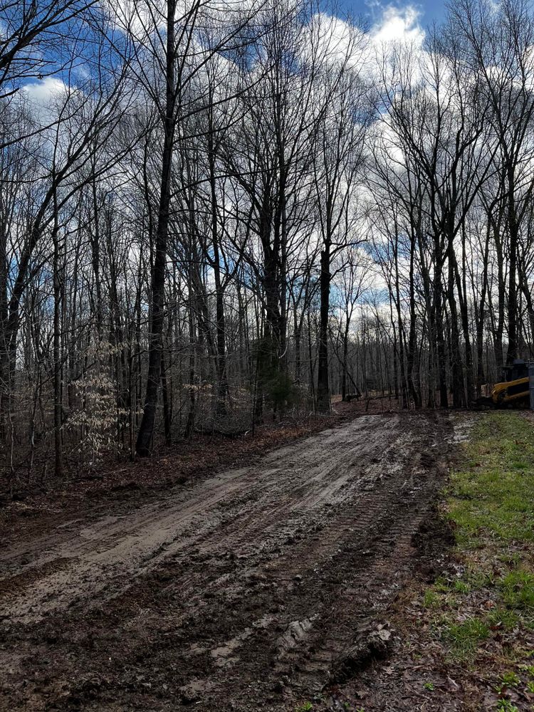 Land Clearing for TriStar Land Clearing & Mulching in  Nashville, TN