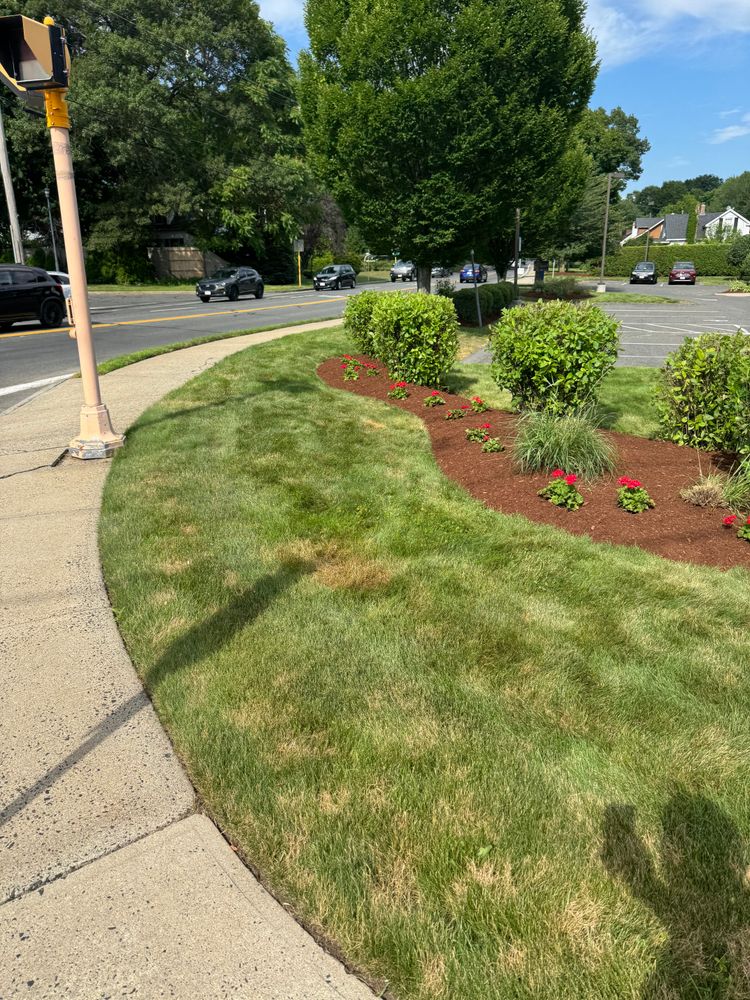 All Photos for Adams Landscaping in Springfield, MA