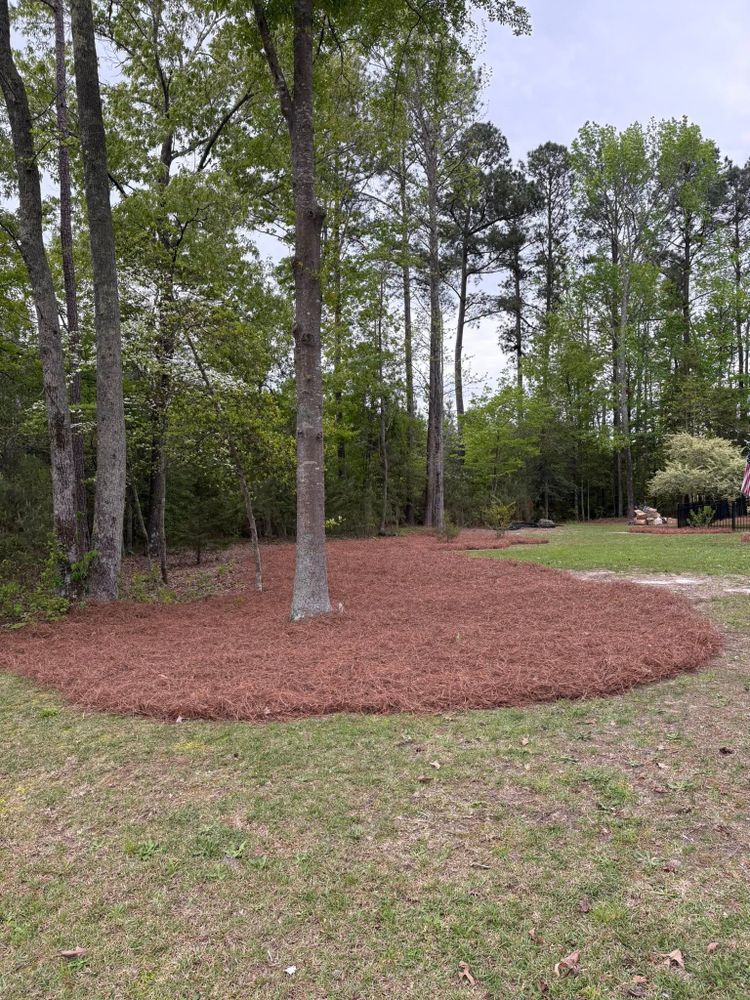 All Photos for Henry’s Lawn Care & Landscaping, LLC in Wendell, NC