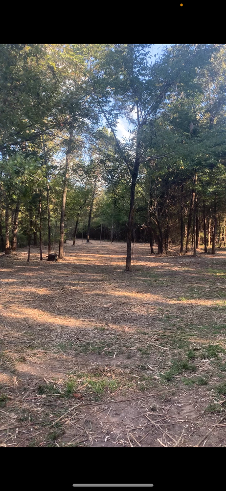 All Photos for Polasini Land Development in Starkville, MS