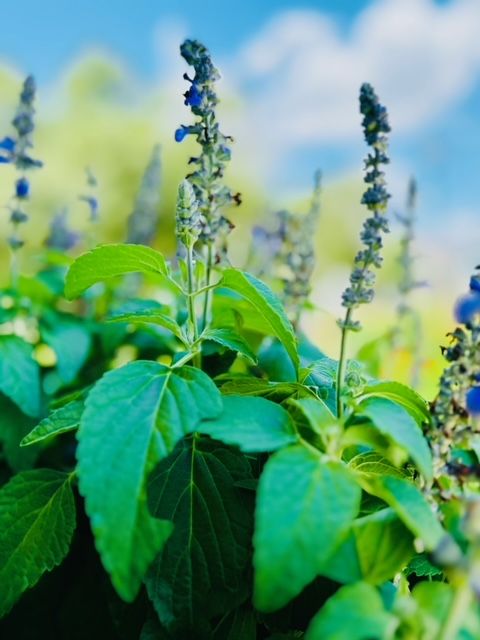 All Photos for Rustic Roots Landscaping in Austin, TX