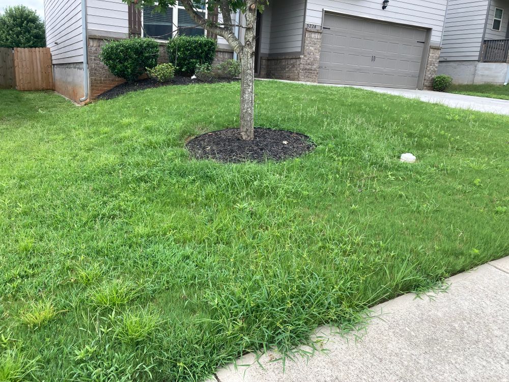 All Photos for Aries Lawnscapes in Atlanta, GA