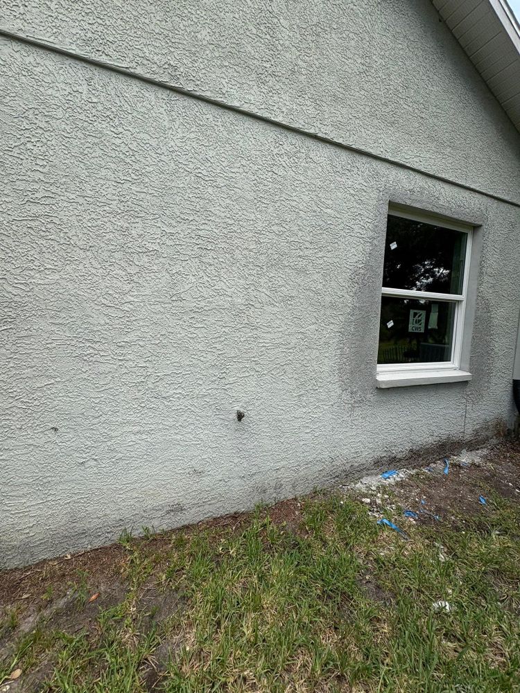 All Photos for Escorpio Painting in Tampa, FL