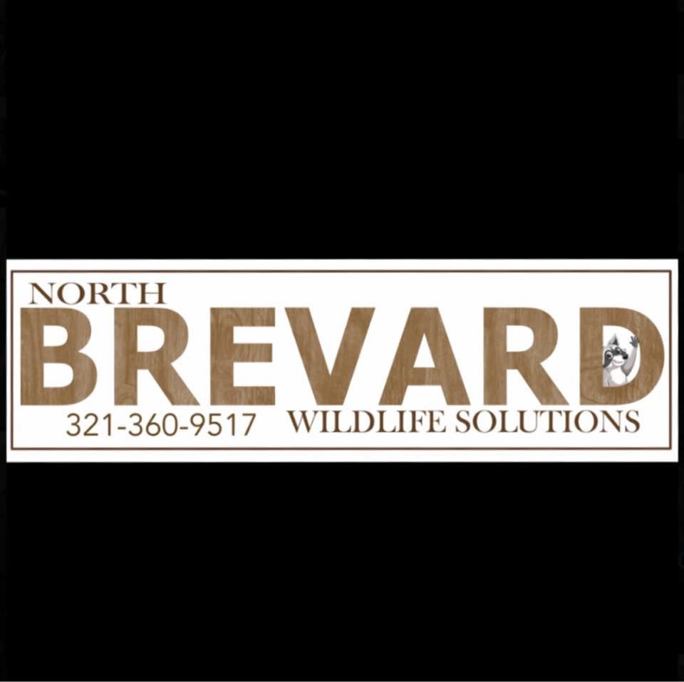 Pest Control Service for North Brevard Wildlife Solutions in Mims, FL