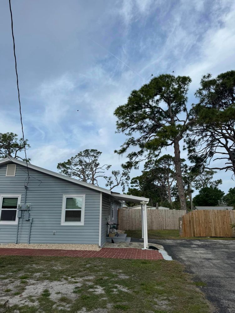 Tree Removal for Lemon Bay Tree Service  in Englewood, FL