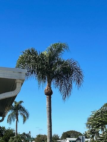 All Photos for Greener Horizons Landscape Management in Port St. Lucie, FL