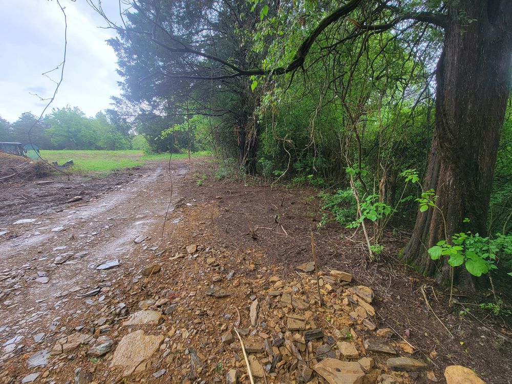Excavating for Carter’s Grading Services in Greenback, TN