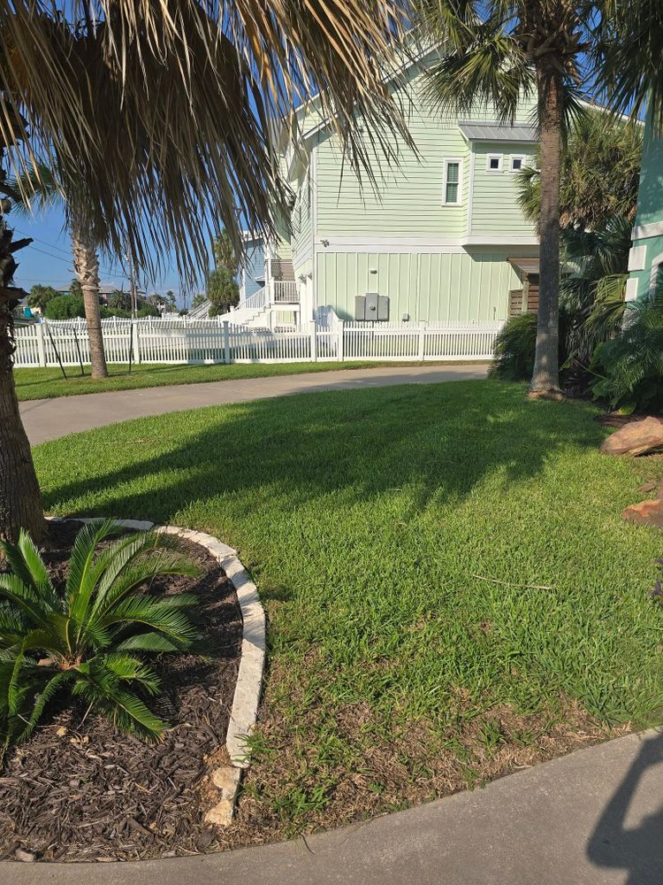 Enhance your lawn's health with our Lawn Aeration service, improving root growth and nutrient absorption for a lush, green yard. Trust our experts to rejuvenate your landscape effectively and efficiently. for CRM Palm & Landscaping in Rockport, TX