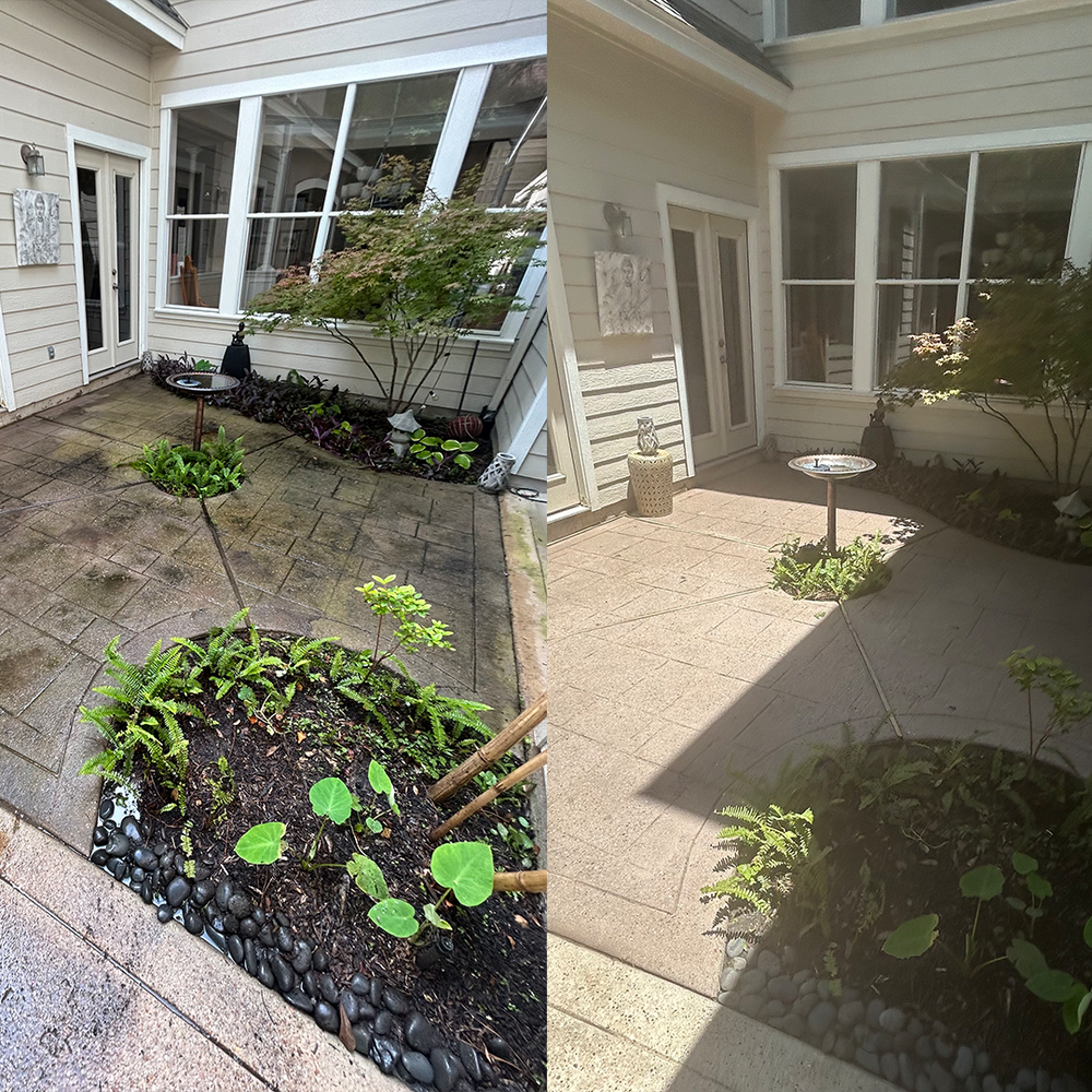 All Photos for Everyday Pressure Washing in The Woodlands, TX