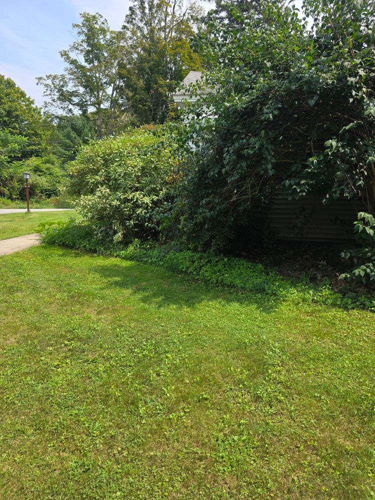 All Photos for Sweet Scapes in Ballston Spa, NY