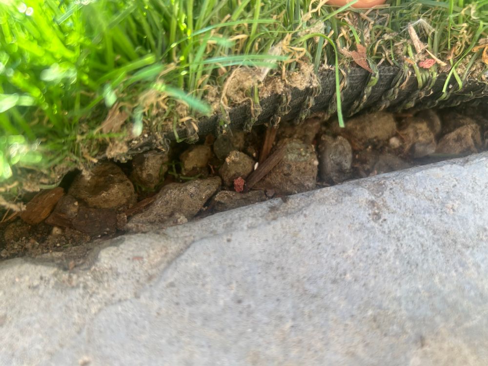 All Photos for CBA Landscaping in Hayward, CA