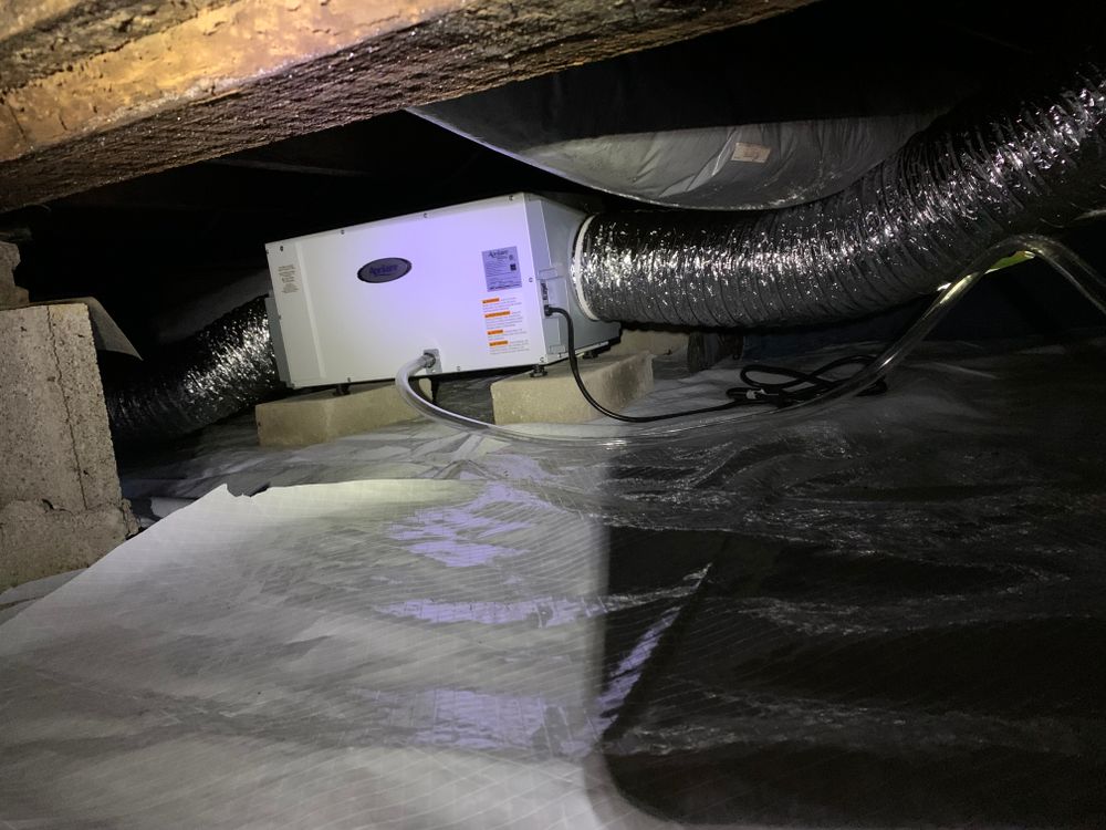 All Photos for All-In Pest Control & Home Solutions in Greene County, IN