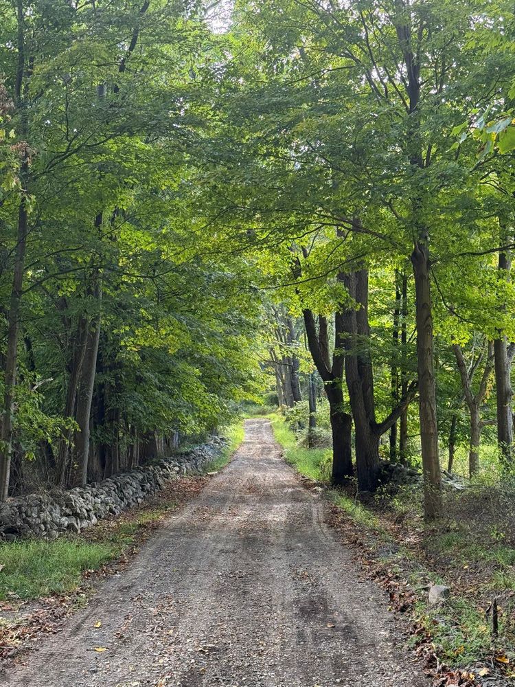 All Photos for LJ Lawn & Property Maintenance, Inc. in Cold Spring, New York