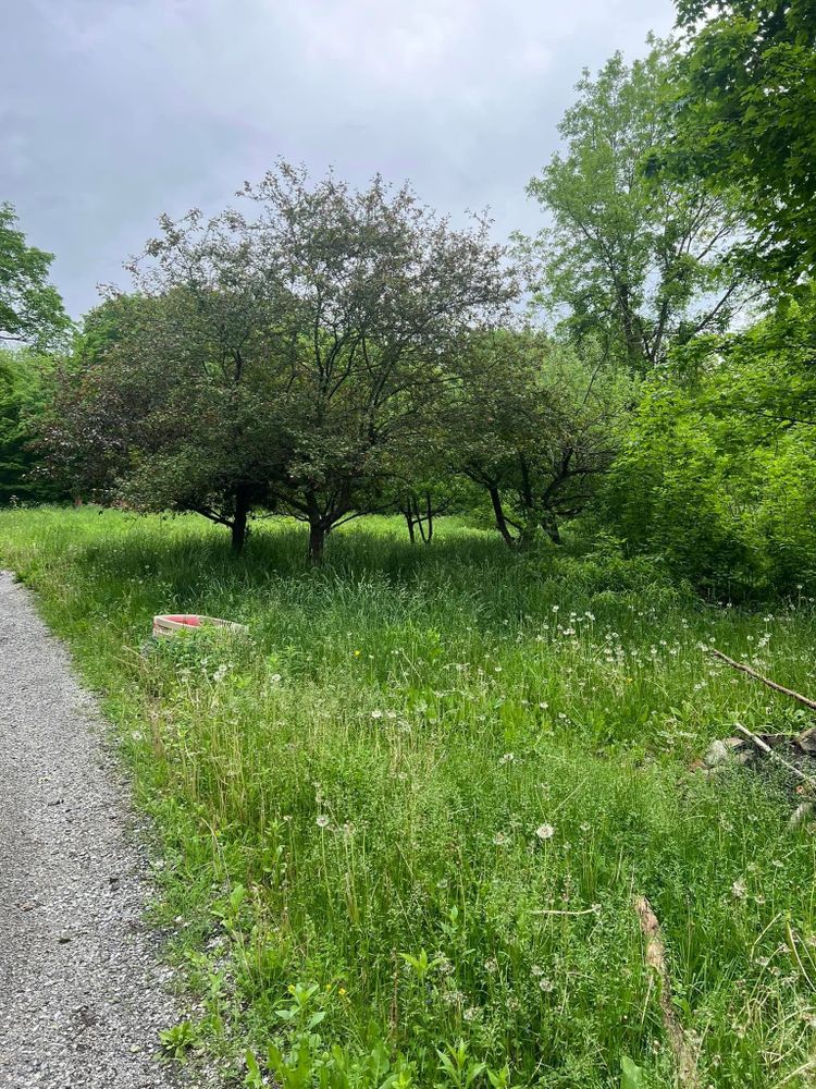 All Photos for Bishop’s Property Maintenance in Franklin, VT