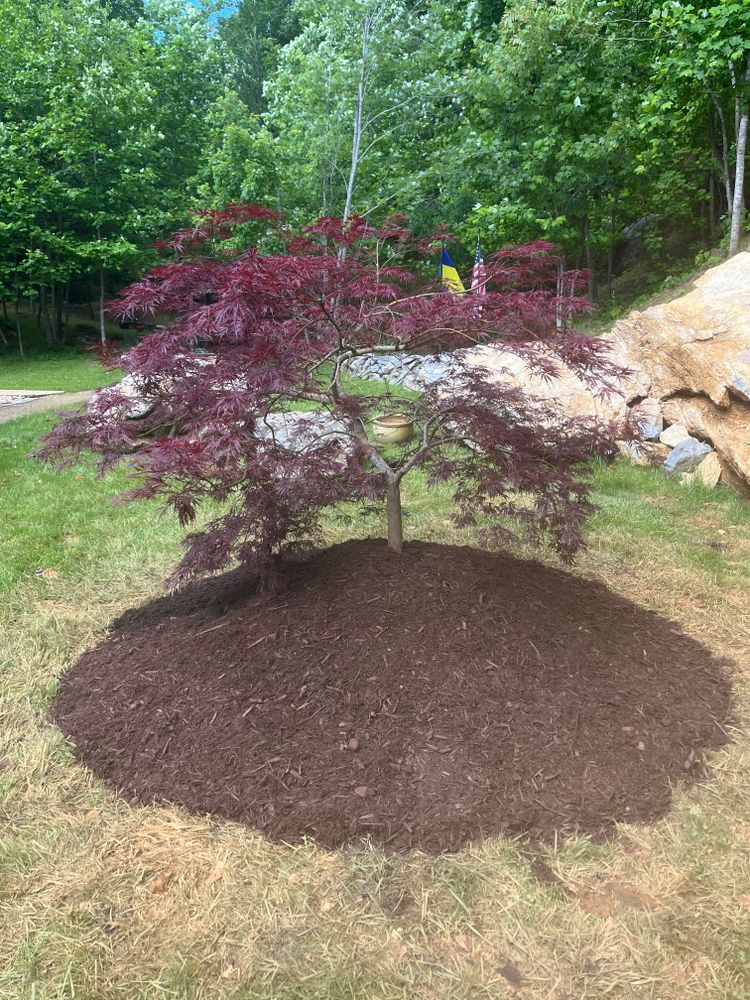 All Photos for Taylors Enterprises in Johnson City, TN