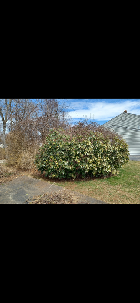 All Photos for Stevenson Property Maintenance in Cheshire, CT