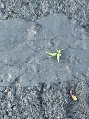 All Photos for James R Carter Paving in Roanoke, VA