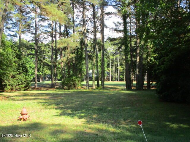 Croatan Lot 13 for Stellar Properties North Carolina in Hertford, NC