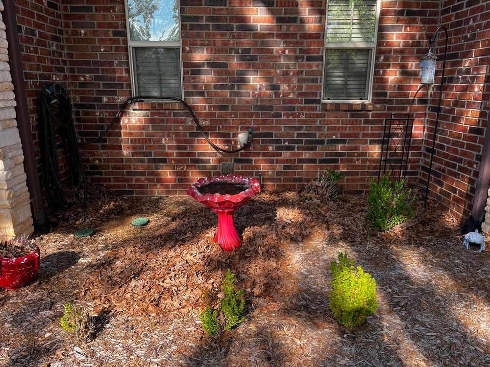 All Photos for Lawn Rescue in Texarkana, TX