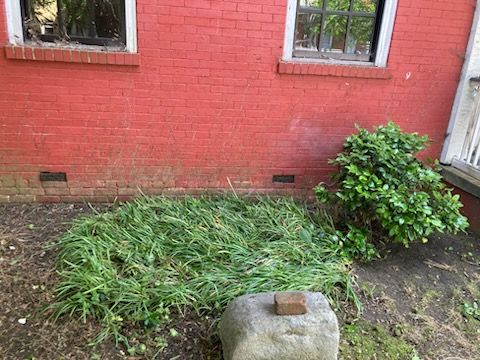 All Photos for Green Horizon Lawncare in North Chesterfield, VA