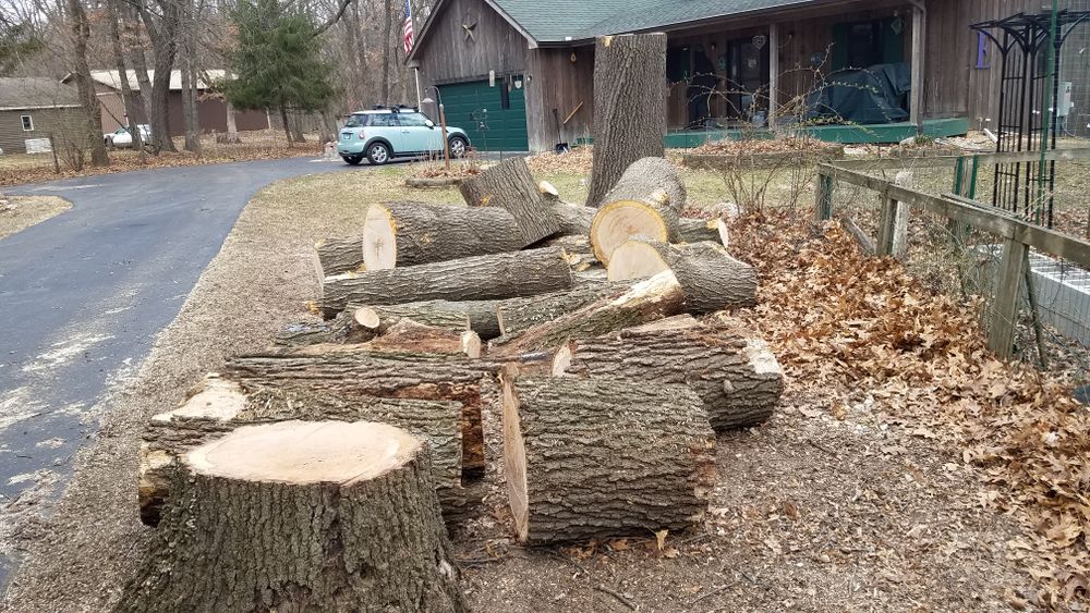 All Photos for O&O Tree Service in Rockford, IL