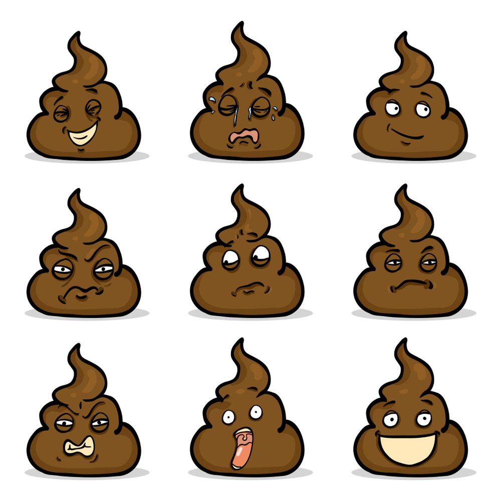 All Photos for River City Scoopers in Midlothian, VA