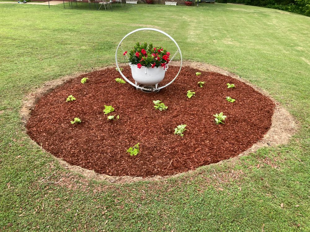 All Photos for Grass Management in Nashville, TN