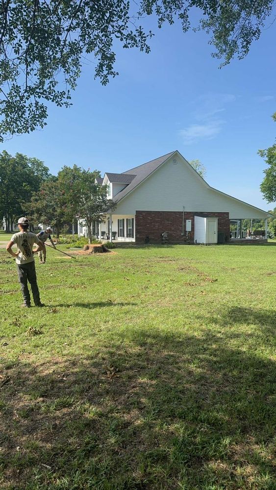 Tree Removal for Morace Tree Service in Natchez,,  MS