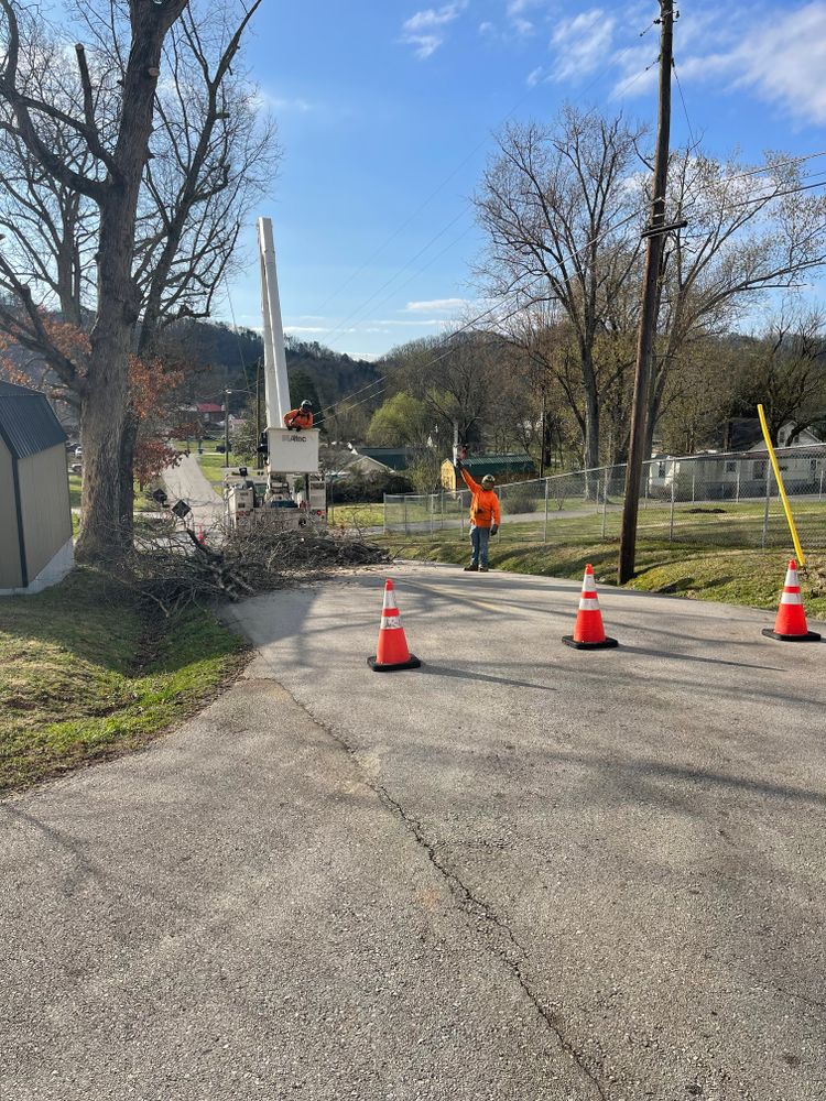 All Photos for Lucky’s Tree Removal and Landscape Services in Knoxville, TN