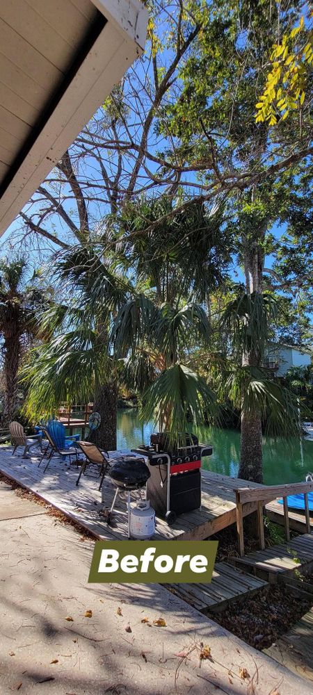 All Photos for Tezna Landscaping, Trees & Pavers in Valrico, FL