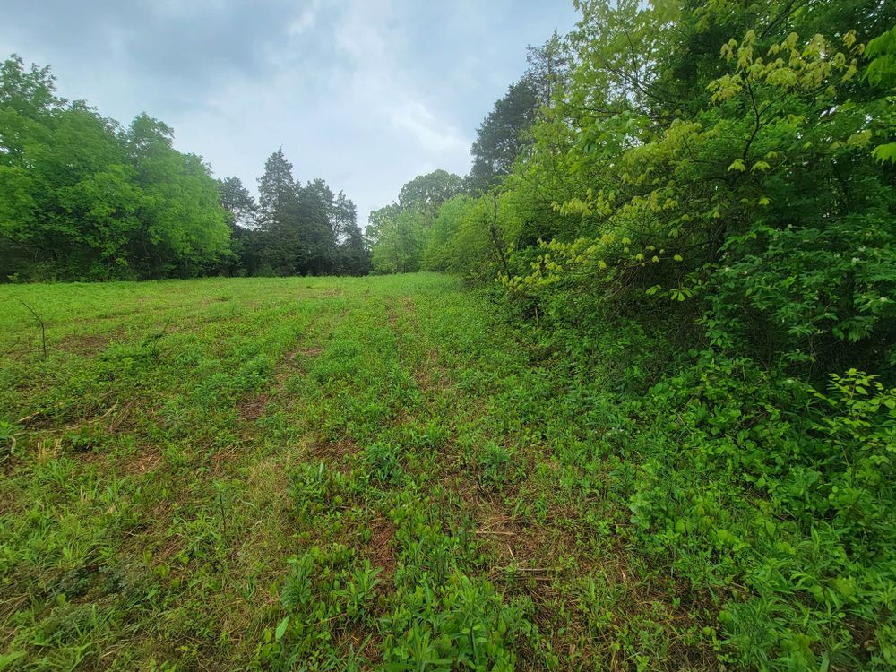 All Photos for Carter’s Grading Services in Greenback, TN