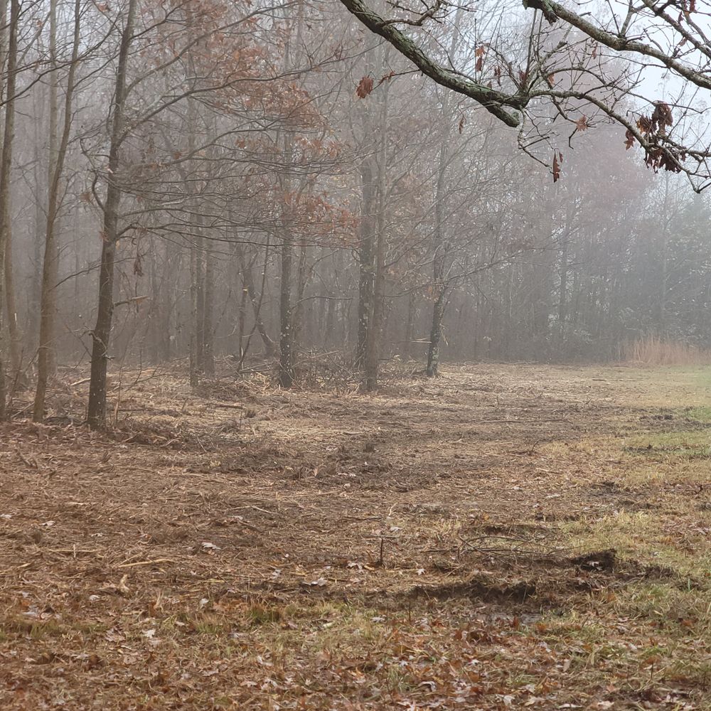 All Photos for Z's Land Management & Forestry Mulching in Smithville, TN