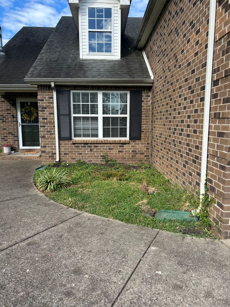 All Photos for MLC in Murfreesboro, TN