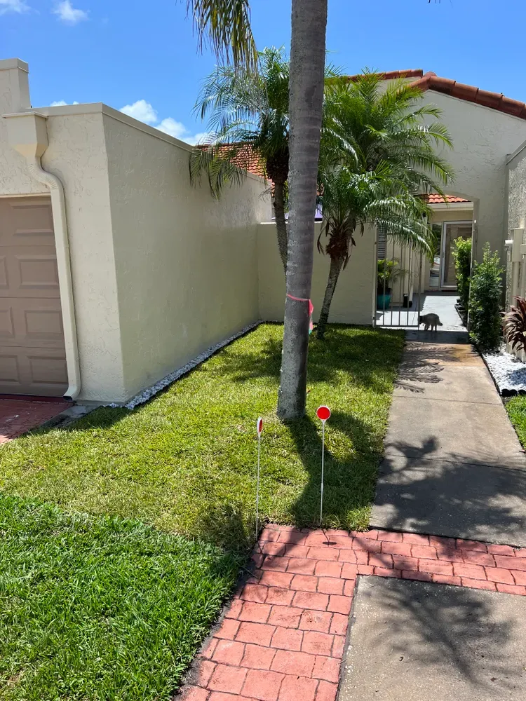 All Photos for Florida Pro Turf in Rockledge, FL
