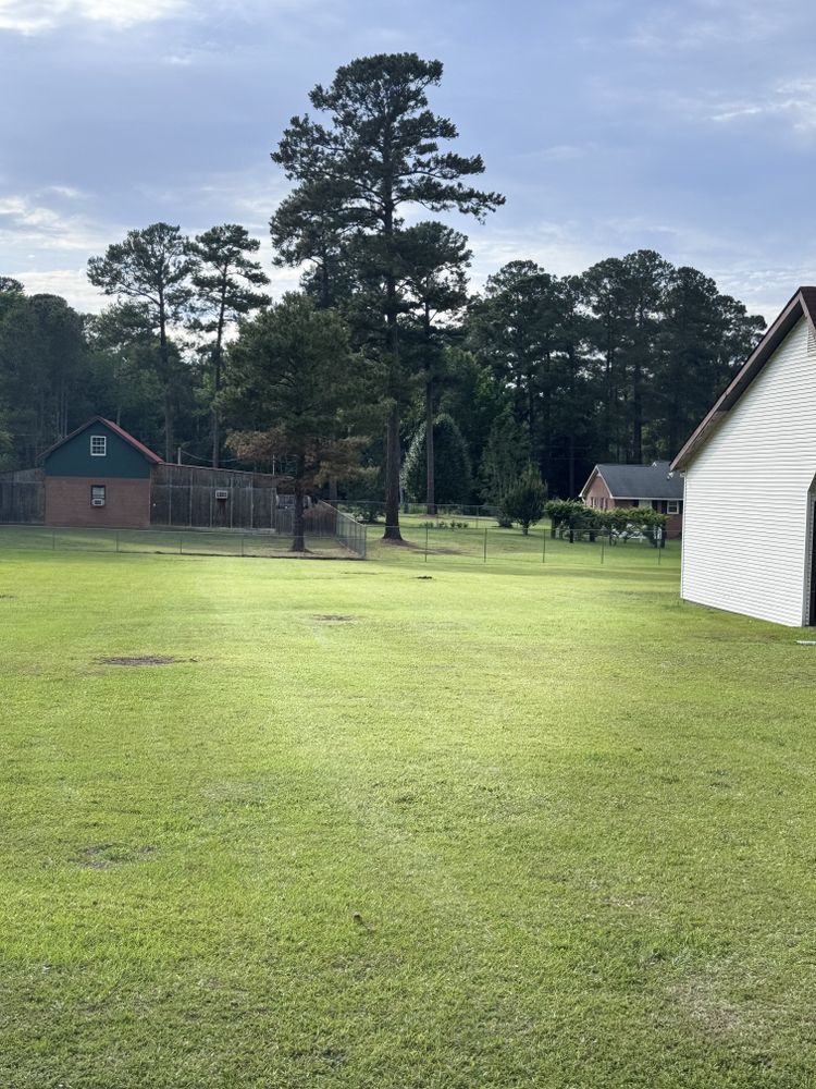 All Photos for Trinity Landscapes  in Lumberton, NC