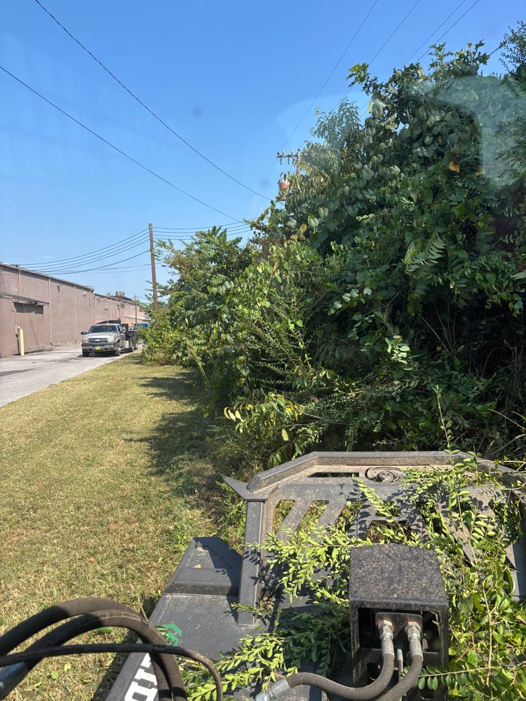 All Photos for Gregory Grass and Lawn in Lafayette, TN