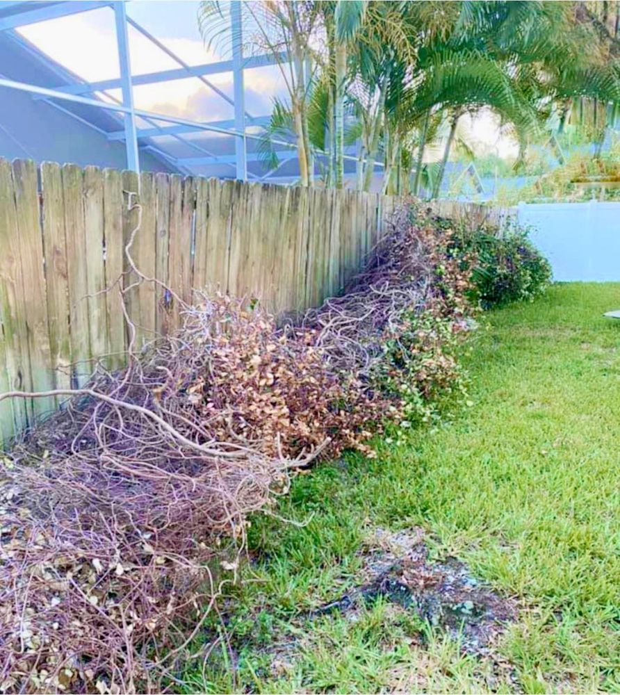 Our Fall and Spring Clean Up service ensures your property is tidy and debris-free after seasonal storms or changing weather conditions. Trust us to keep your outdoor spaces clean and beautiful. for The Third Day Land Management Company  in Tampa,  FL