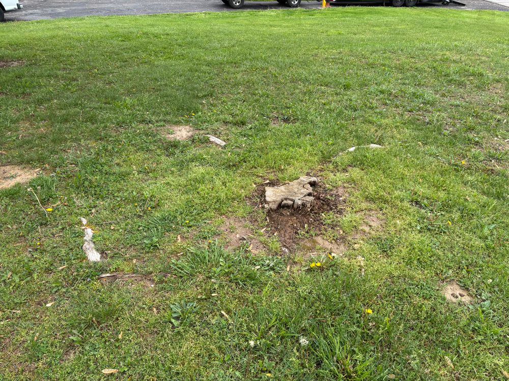 All Photos for Conrad's Stump Removal in Columbus, IN