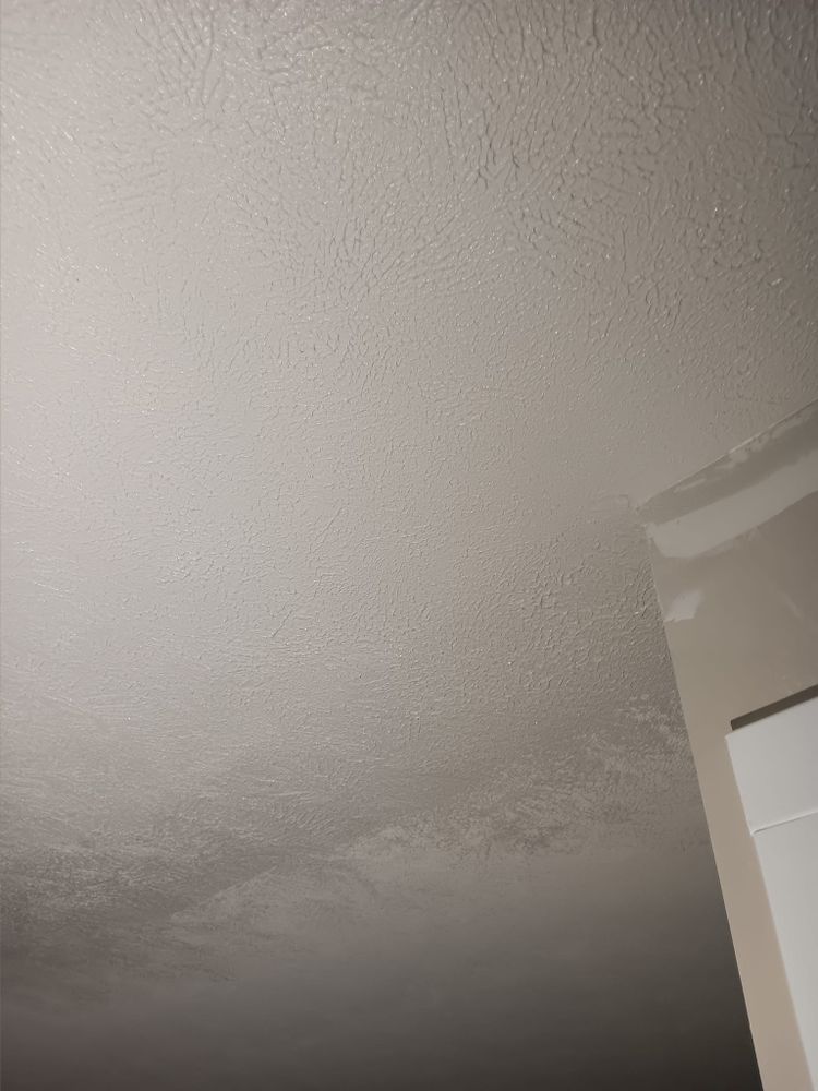 Subfloor repair and Beam Shoring for Dead Tree General Contracting in Carbondale, Illinois