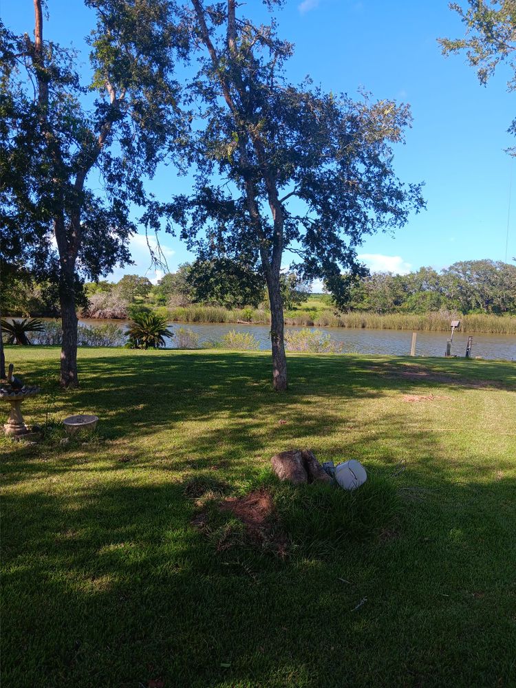 All Photos for G&S Tree Service in Houston, TX